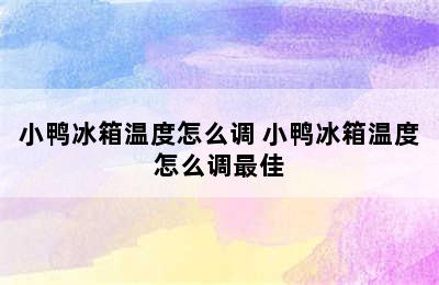 小鸭冰箱温度怎么调 小鸭冰箱温度怎么调最佳